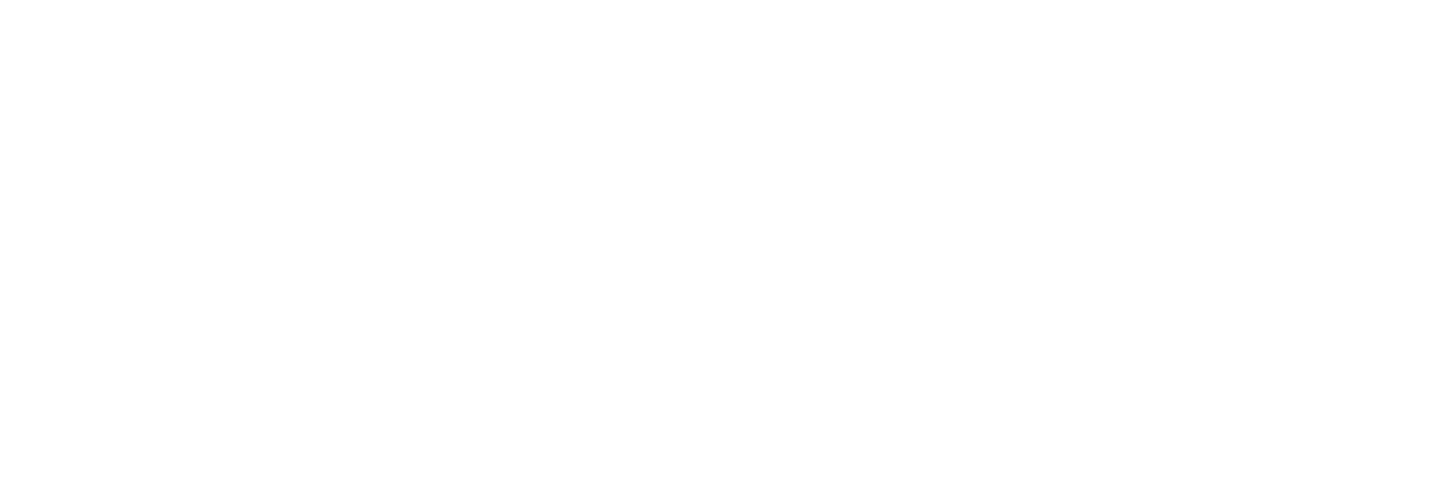 University of Chicago Logo